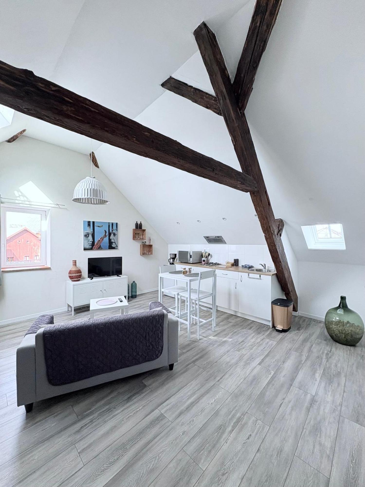 L'Ours De Colmar Bis Apartment Bagian luar foto